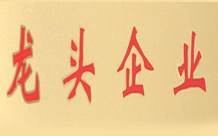 熱烈祝賀森普管材被確定為2017年度“龍頭企業”